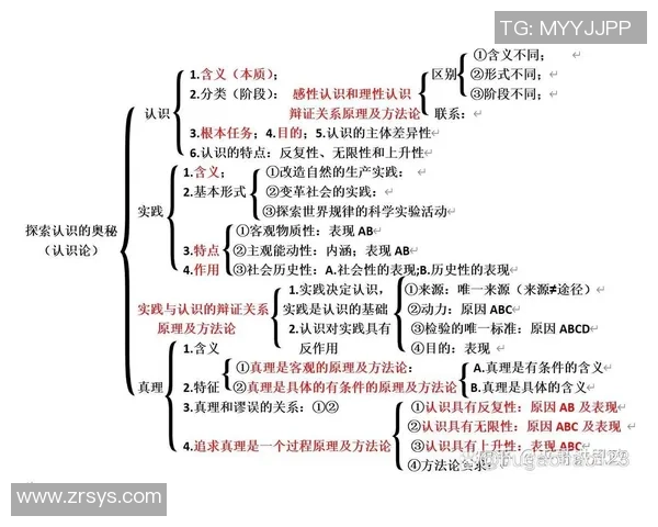 王少杰：从平凡到卓越的奋斗历程与人生哲学探索